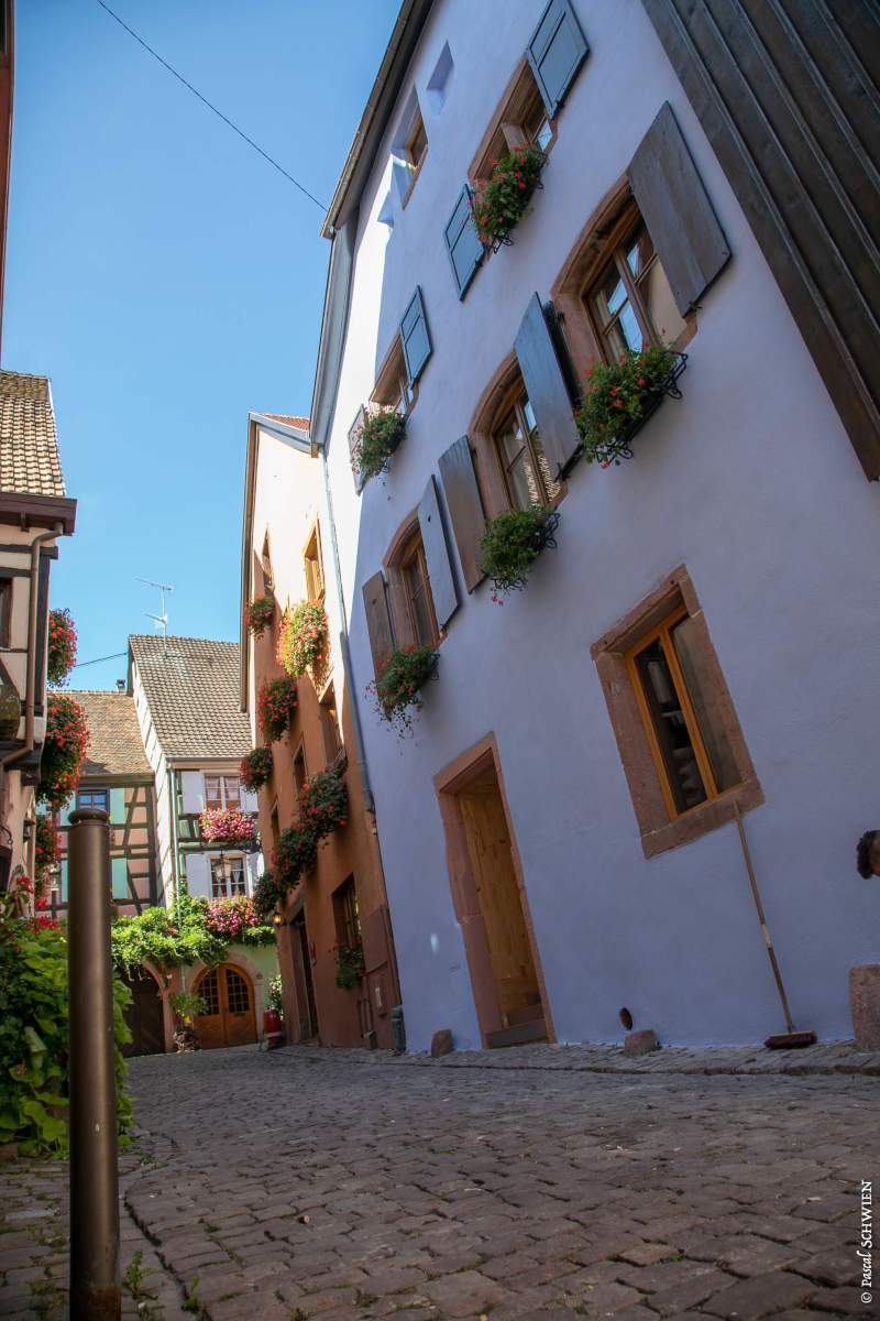 Hotel Restaurant Route des Vins Alsace, Hotel Saint Nicolas in Riquewhir